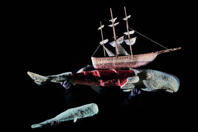 Moby Dick - Agence Sémaphore